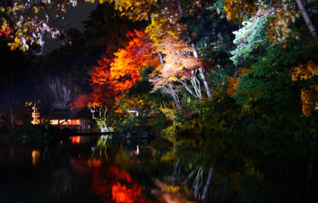 金沢旅行21回の筆者が伝える 秋の金沢観光ポイント 兼六園 金沢城 旅路の部屋