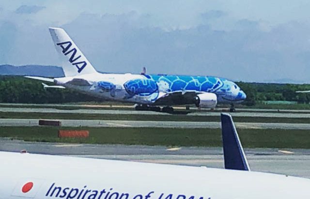 【締切間近】ANA FLYING HONU （A380） 遊覧飛行の第2回目催行募集中！