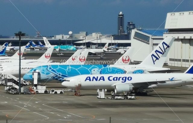 JAL・ANA 新型コロナ特別対応でのマイルやステイタス等の期限延長について確認しよう